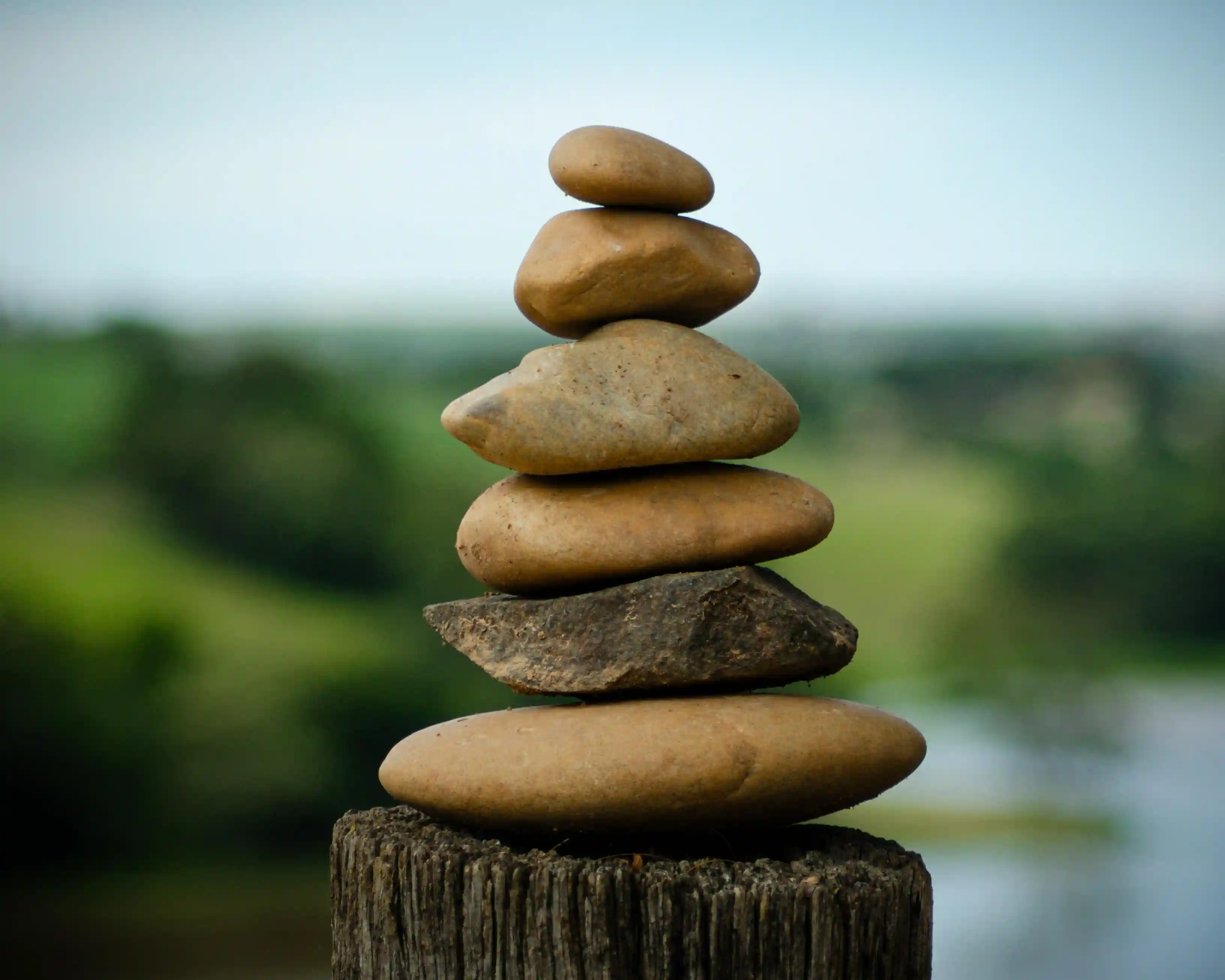 Natural herbs and wellness